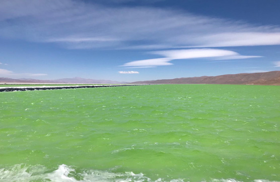 星空官方網頁版