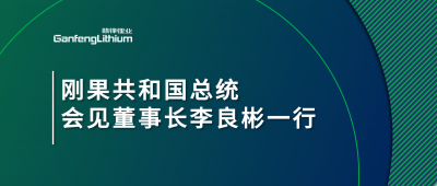 剛果共和國總統會見星空體育董事長李良彬一行
