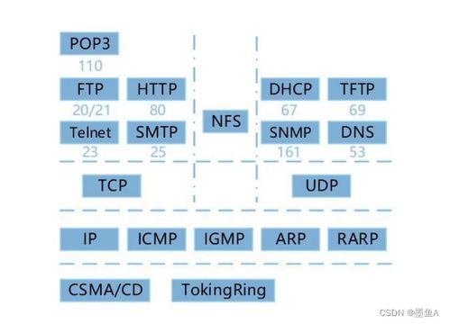 淄博軟件設計師軟考備考指南與行業(yè)發(fā)展前景分析